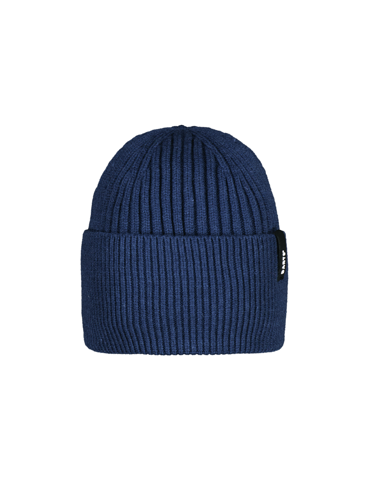 Arlinkton Beanie navy