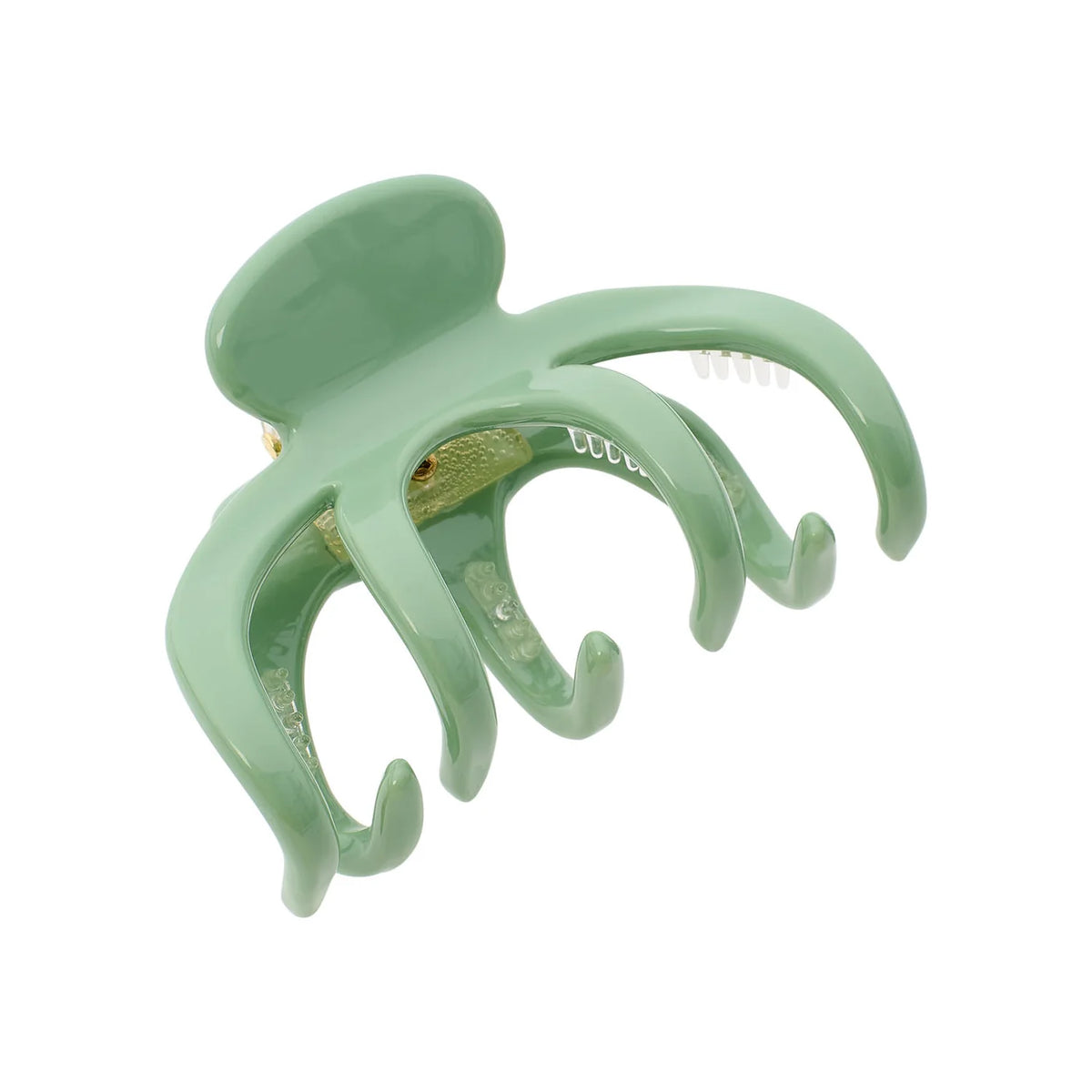 Alberte Claw