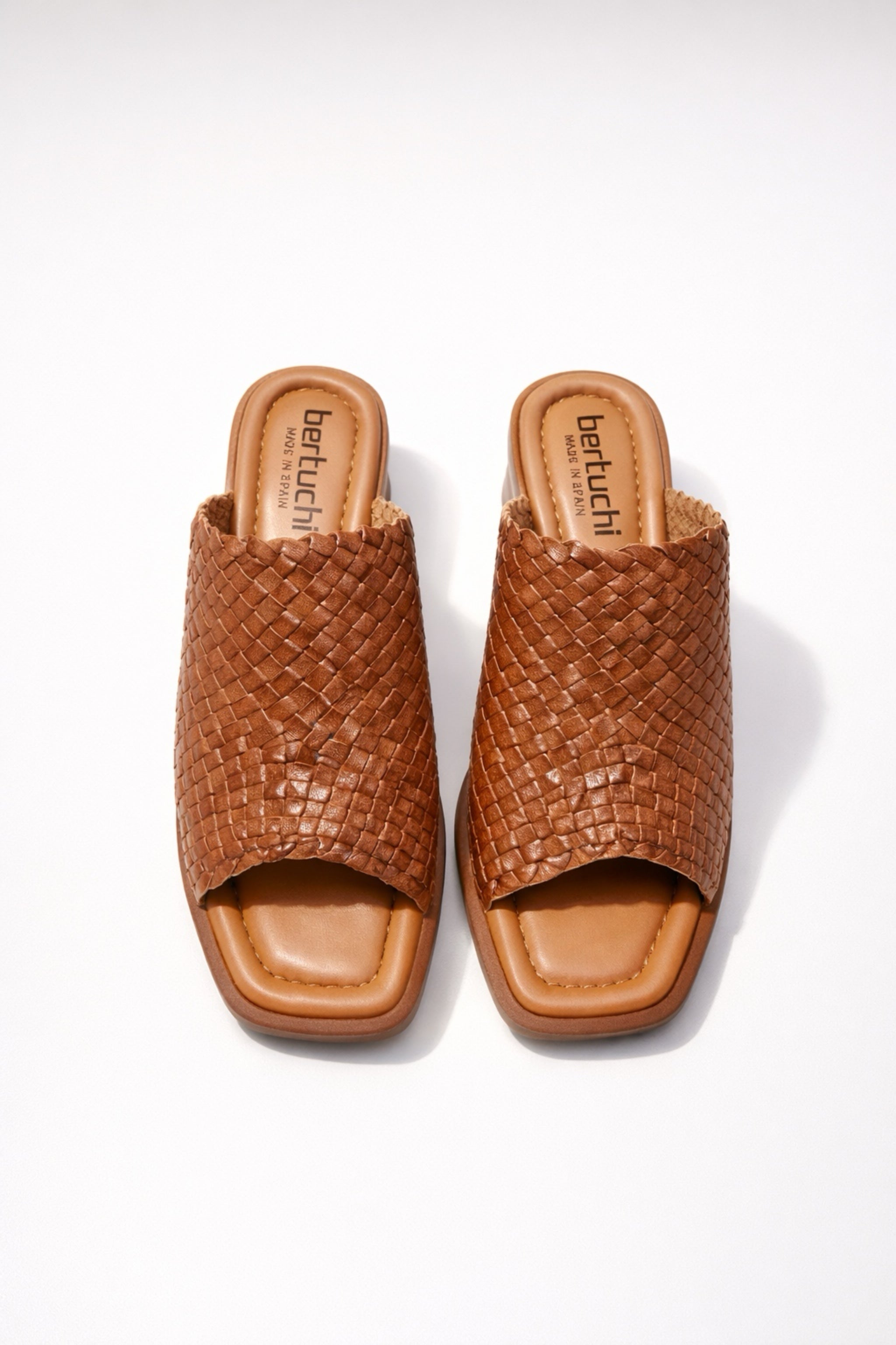 Trenza Ceiger Sheep