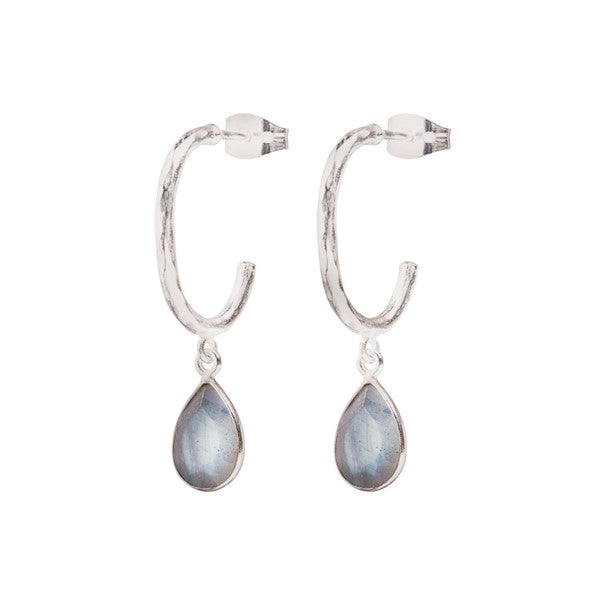Admiring Labradorite Earrings