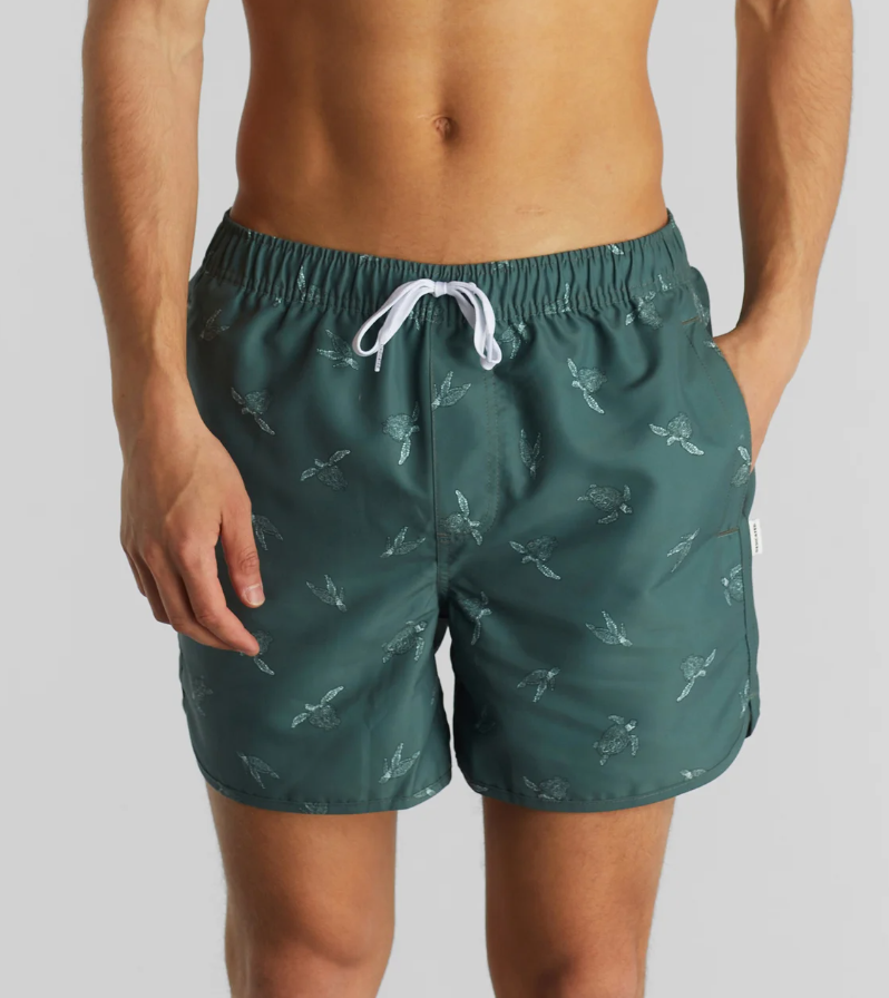 Swim Shorts Sandhamn Sea Turtles