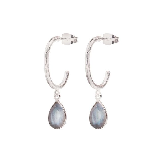 Admiring Labradorite Earrings